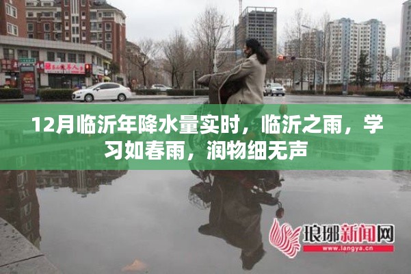 临沂12月实时降水量解析，润物细无声的春雨之力