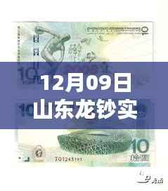 山东龙钞实时价格行情解析，最新数据获取与分析指南（12月09日）