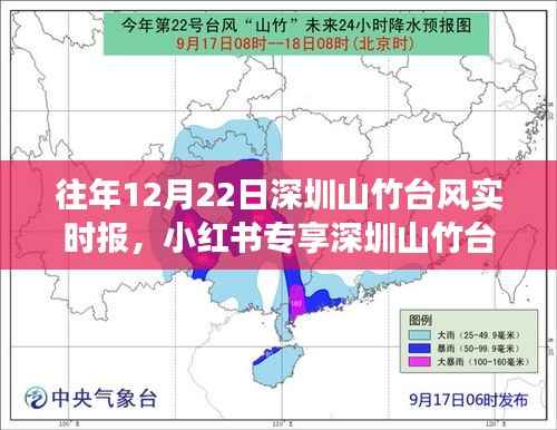 历年12月22日深圳山竹台风实时报道,风雨中的家园守护