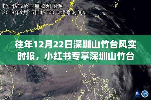 历年12月22日深圳山竹台风实时报道,风雨中的家园守护