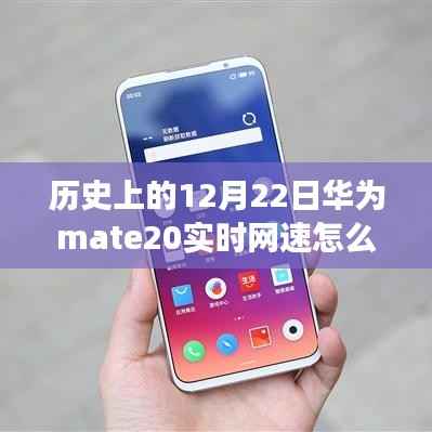 华为Mate 20网速之谜，实时网速开启与日常探索之旅