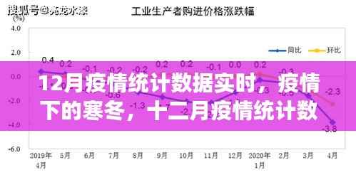 深度剖析，疫情寒冬下的十二月疫情统计数据实时统计与分析