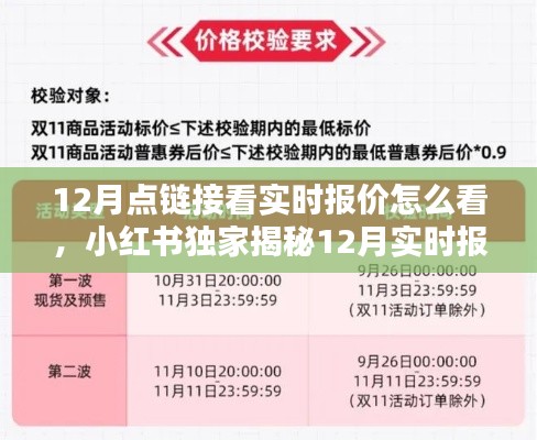 小红书独家揭秘,12月实时报价链接攻略,轻松掌握最新优惠信息,一键链接看报价!