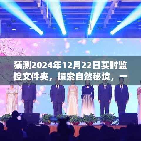 探索自然秘境的心灵之旅,猜想与启示——2024年12月22日文件夹内的风景探索