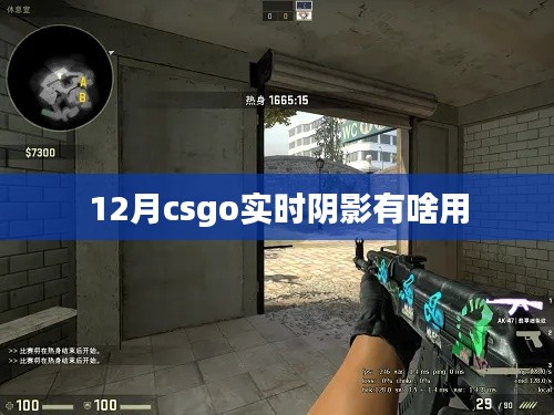 揭秘CSGO实时阴影功能,作用与影响分析