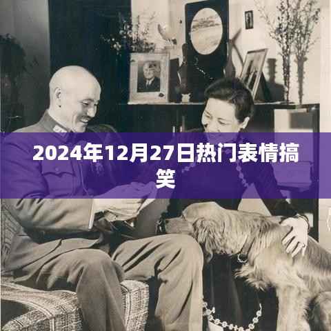 每日一笑,2024年最火表情大赏