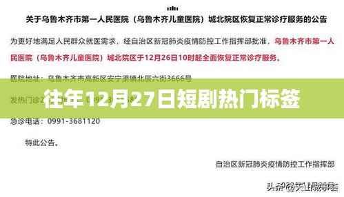 往年12月27日短剧热门标签盘点