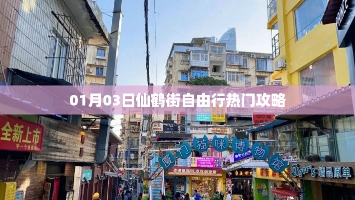 仙鹤街自由行指南,热门攻略一网打尽
