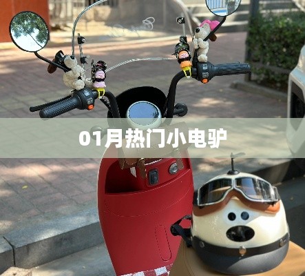 热门小电驴，一月新宠上榜