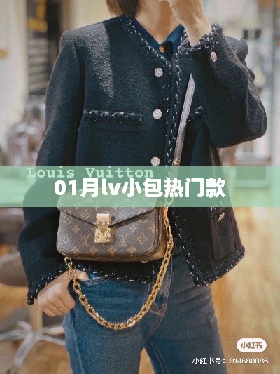 01月LV小包热门款式盘点