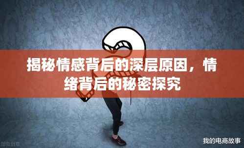 揭秘情感背后的深层原因,情绪背后的秘密探究