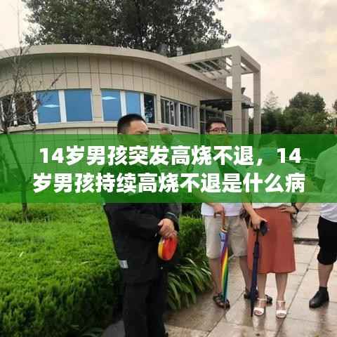 14岁男孩突发高烧不退,14岁男孩持续高烧不退是什么病