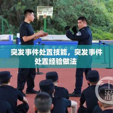 突发事件处置技能,突发事件处置经验做法