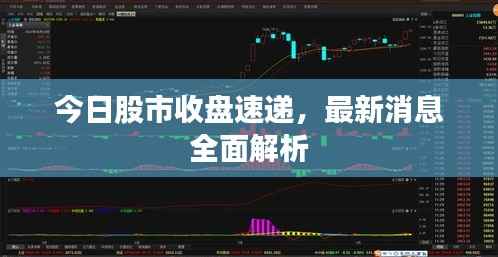 今日股市收盘速递，最新消息全面解析
