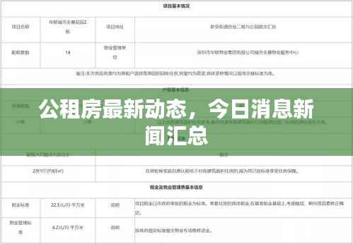 公租房最新动态,今日消息新闻汇总