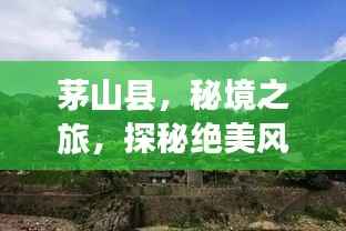 炊粱跨卫 第2页