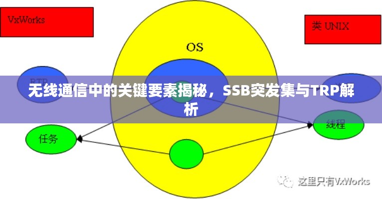 无线通信中的关键要素揭秘,SSB突发集与TRP解析