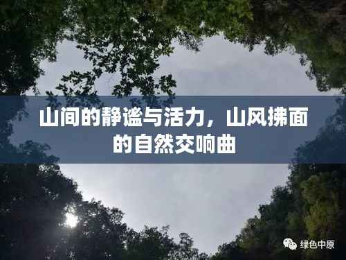 山间的静谧与活力,山风拂面的自然交响曲