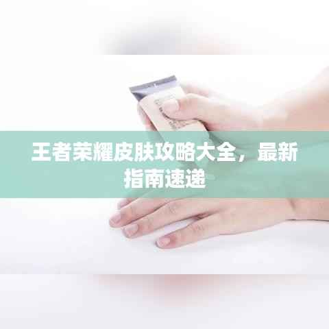 王者荣耀皮肤攻略大全,最新指南速递