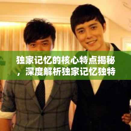 独家记忆的核心特点揭秘，深度解析独家记忆独特之处！