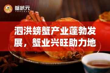 泗洪螃蟹产业蓬勃发展，蟹业兴旺助力地方经济飞跃发展