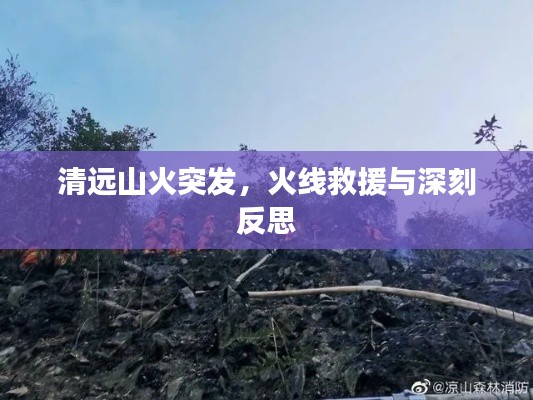 清远山火突发,火线救援与深刻反思