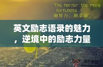 英文励志语录的魅力,逆境中的励志力量,激发无尽潜能