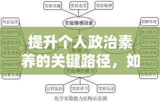 提升个人政治素养的关键路径,如何不断汲取政治养分?