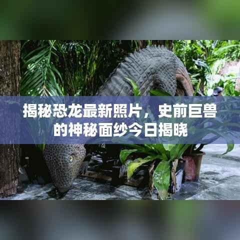 揭秘恐龙最新照片,史前巨兽的神秘面纱今日揭晓