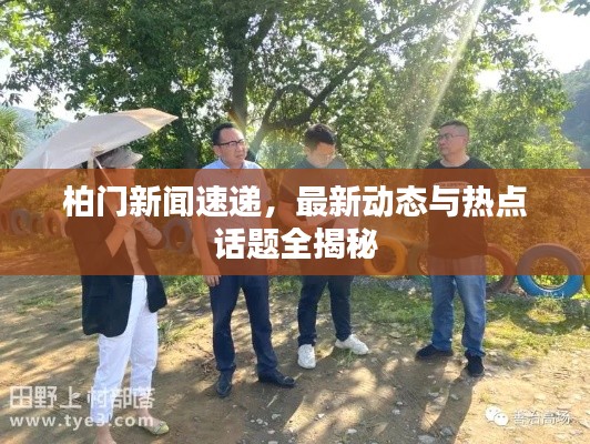 柏门新闻速递，最新动态与热点话题全揭秘