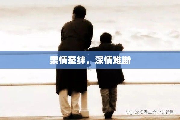 亲情牵绊,深情难断