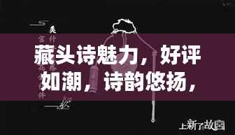 藏头诗魅力,好评如潮,诗韵悠扬,文化传承之美