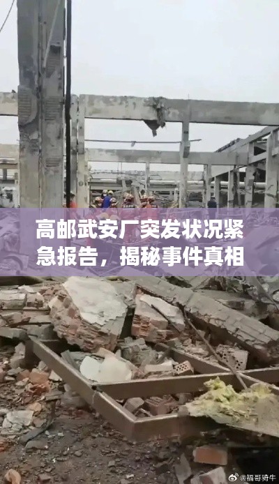 高邮武安厂突发状况紧急报告,揭秘事件真相!