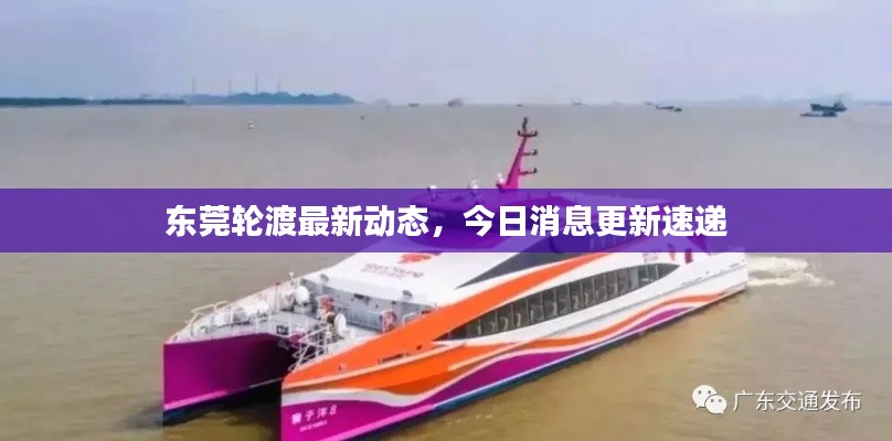 东莞轮渡最新动态,今日消息更新速递