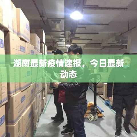 湖南最新疫情速报,今日最新动态