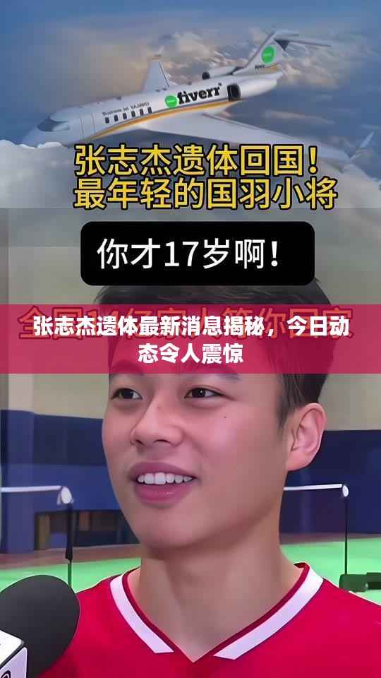 张志杰遗体最新消息揭秘，今日动态令人震惊