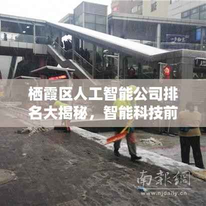 栖霞区人工智能公司排名大揭秘,智能科技前沿力量探索