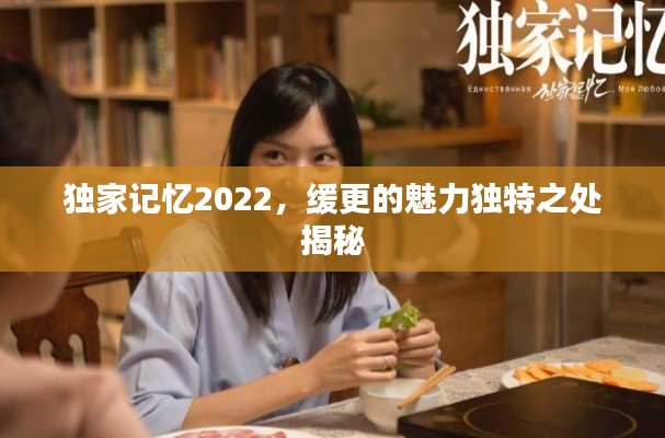 独家记忆2022,缓更的魅力独特之处揭秘