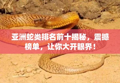 亚洲蛇类排名前十揭秘,震撼榜单,让你大开眼界!