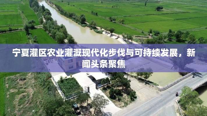 宁夏灌区农业灌溉现代化步伐与可持续发展,新闻头条聚焦