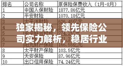 独家揭秘,领先保险公司实力解析,稳居行业榜首!