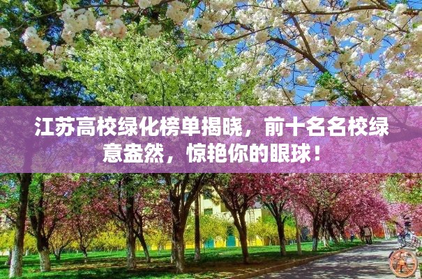 江苏高校绿化榜单揭晓,前十名名校绿意盎然,惊艳你的眼球!
