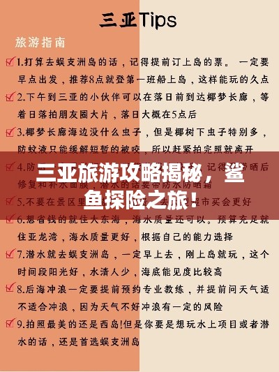 三亚旅游攻略揭秘,鲨鱼探险之旅!