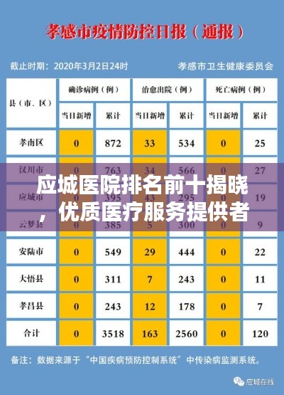 应城医院排名前十揭晓,优质医疗服务提供者一览无余