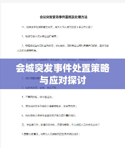 会城突发事件处置策略与应对探讨