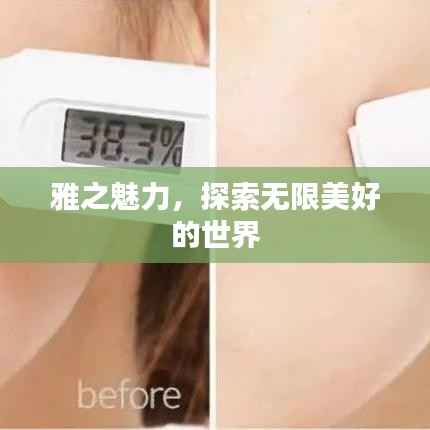 雅之魅力,探索无限美好的世界