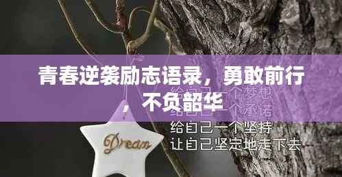 青春逆袭励志语录,勇敢前行,不负韶华