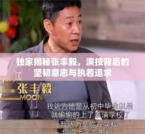 独家揭秘张丰毅,演技背后的坚韧意志与执着追求