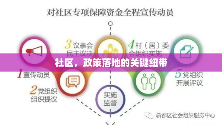 社区，政策落地的关键纽带