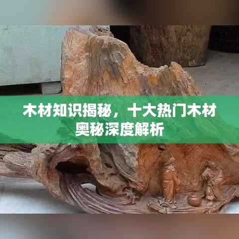 木材知识揭秘,十大热门木材奥秘深度解析